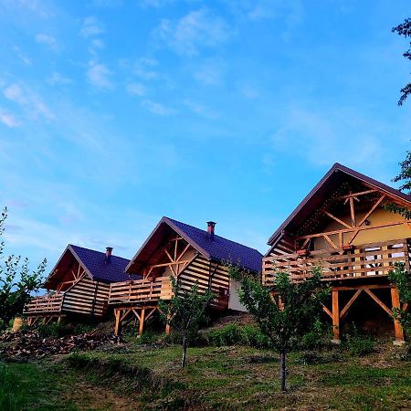 Вілла Casa David Plai  Екстер'єр фото