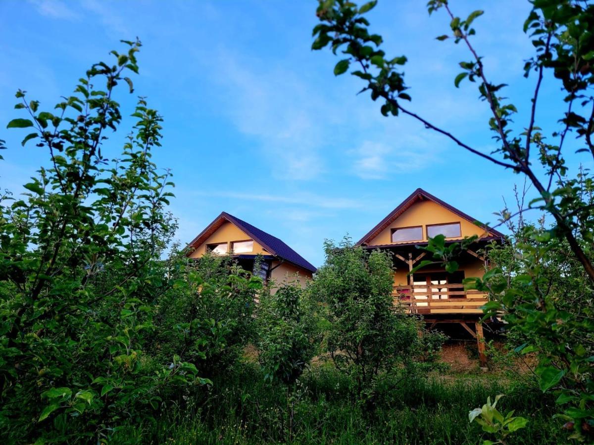 Вілла Casa David Plai  Екстер'єр фото
